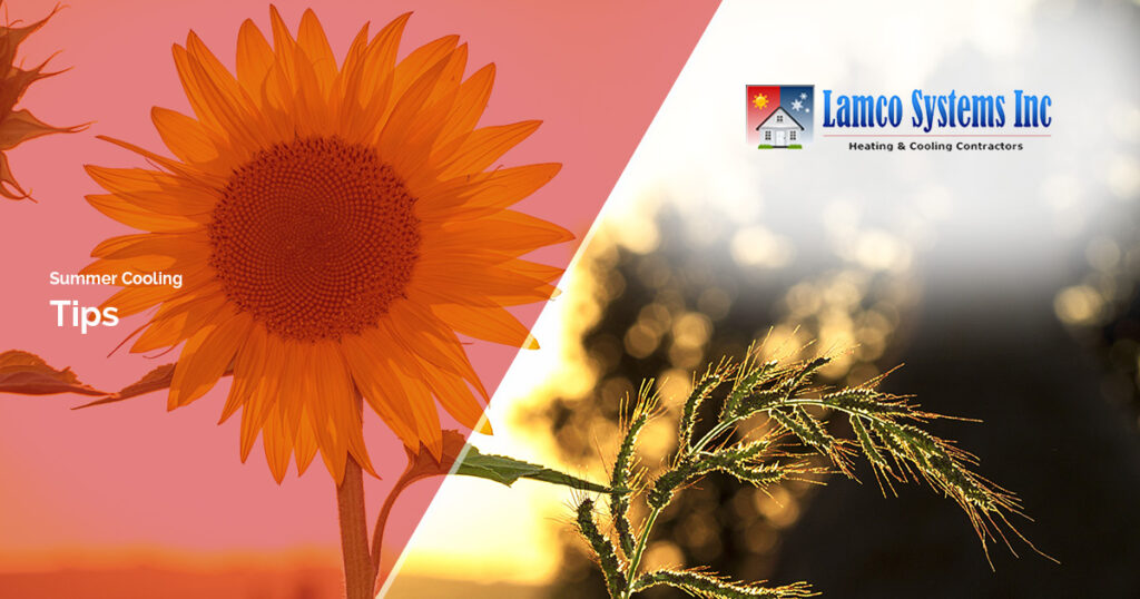 Summer-Cooling-Tips-5b242d02ab198