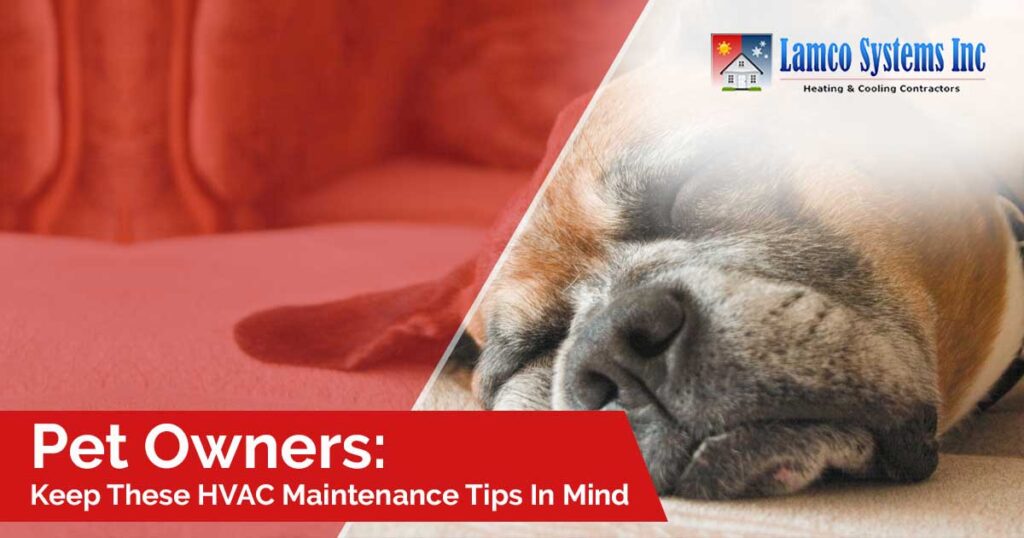 Pet-Owners-HVAC-5c61db82cab9c