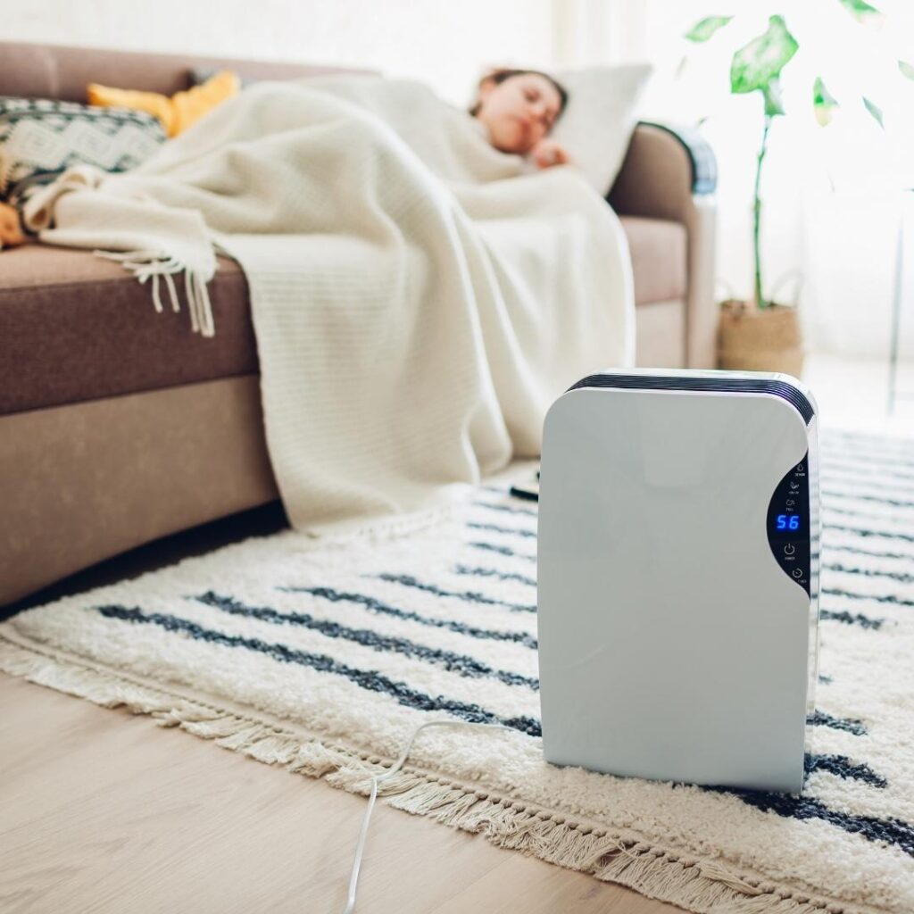Dehumidifier in living room