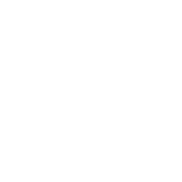 approved icon